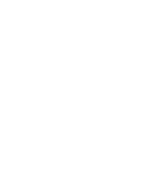 Play Store
